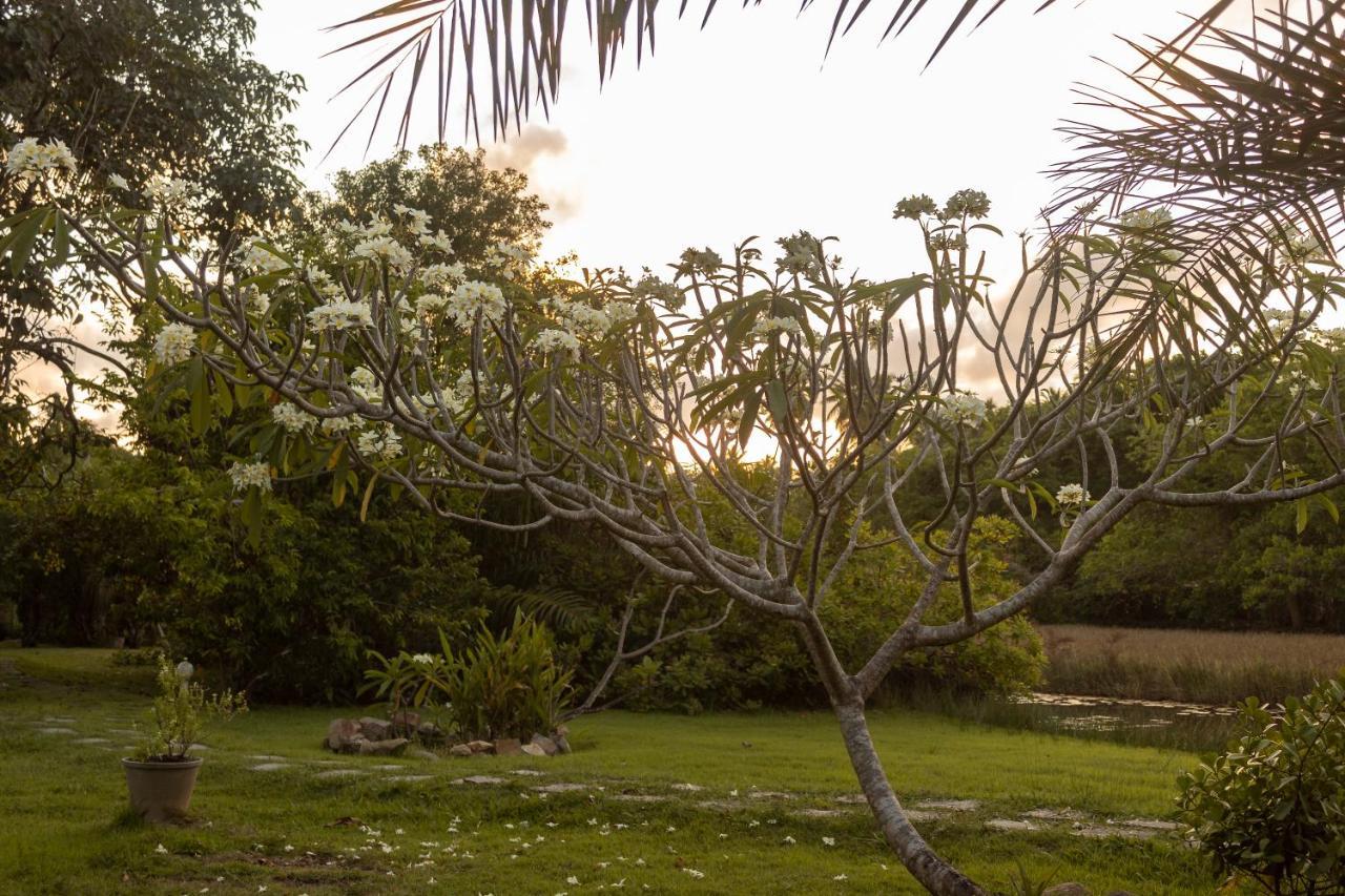 Pousada Lagoa Da Pedra Imbassai Exteriör bild